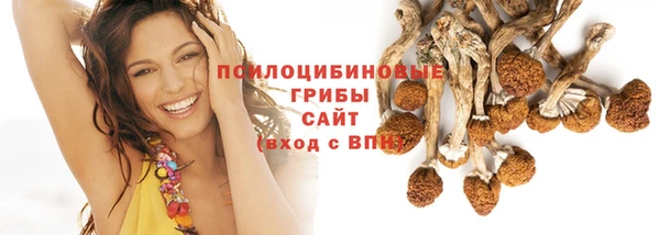 винт Богородицк