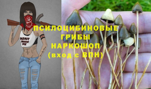 мяу мяу мука Богородск