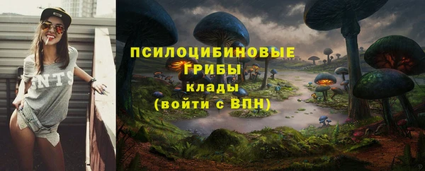 таблы Богданович