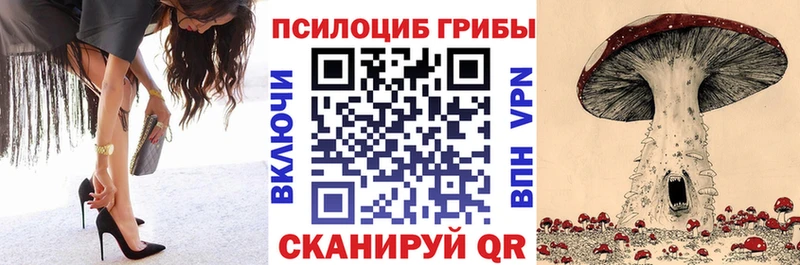 дарнет шоп Дзержинск Галлюциногенные грибы Cubensis